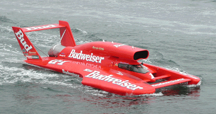 ms budweiser